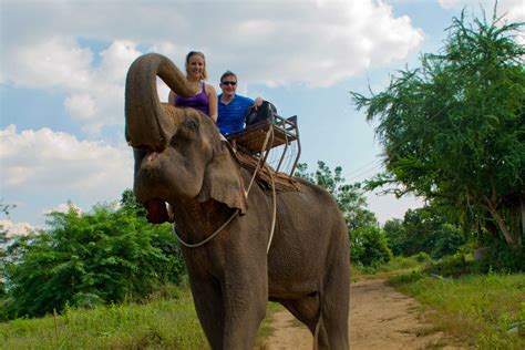 Riding Elephants In Thailand South East Asia Travel