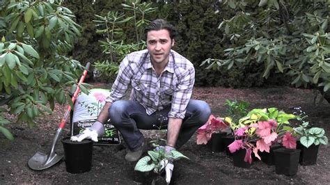 Planting Perennials How To Video Series Youtube