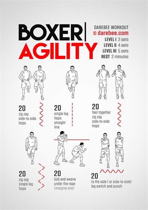 Boxer Agility Workout Mma Workout Agility Workouts Boxer Workout