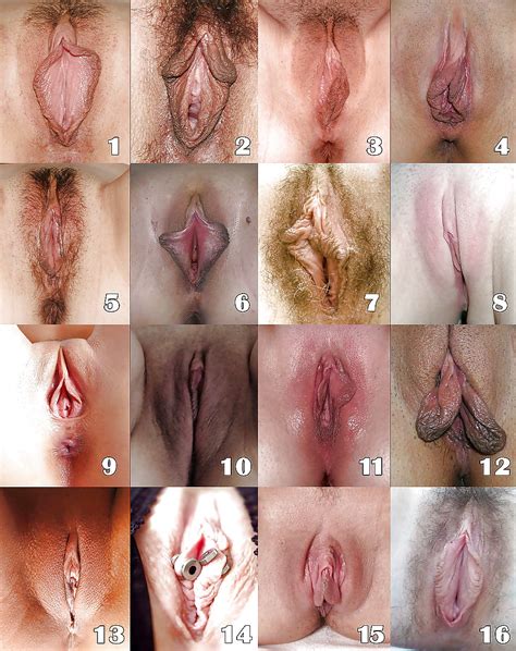 Type Of Vagina Naked Porn Videos Newest Female Vagina BPornVideos