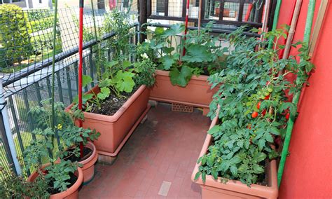 Tips And Ideas For Home Vegetable Gardening Design Cafe