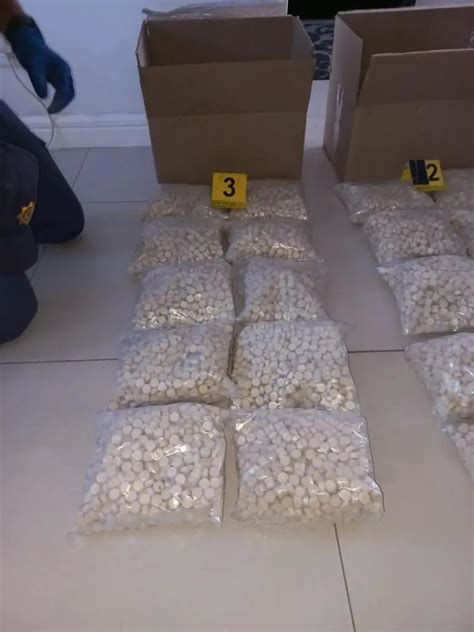 Cape Town Woman Arrested Following R15 Million Drug Bust Za