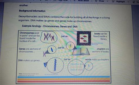 Solved Chromosomes Genes And Dna Analogy Project Your Task