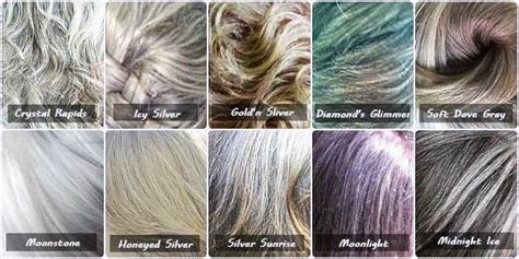 Grey Hair Colour Chart Grey Hair Color Hair Color Chart Image Result