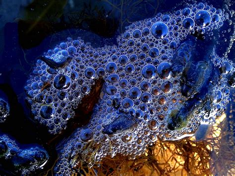 Wallpaper Sea Water Nature Beach Blue Bubbles Coral Reef