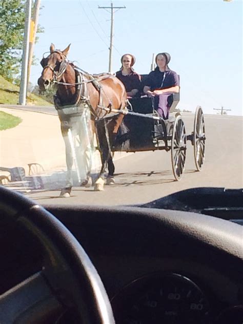 Buggy Riding Amish Culture Amish Country Country Life