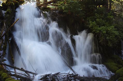Richard Hikes North Umpqua Waterfalls