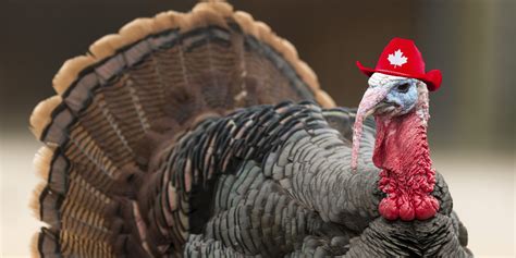 Thanksgiving Canada 4 Surprising Facts About The October Holiday