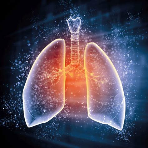 Solide tumoren und prinzipien der internistischen onkologie. DFP Literaturstudium: Diagnostik und Therapie des schweren ...