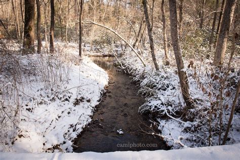 Wintry View Of Bent Creek At The Nc Arboretum In Asheville North