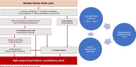 An Unusual Reversible Cause Of Acute High Output Heart Failure