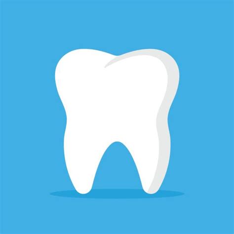 Teeth Vector Illustrations Royalty Free Vector Graphics And Clip Art