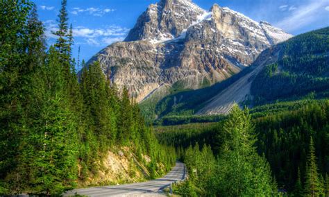 Beautiful Mountain Landscape Green Pine Forest High Mountain Peaks With