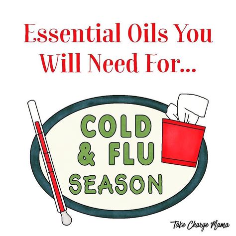 Are You Prepared And Ready For Cold And Flu Season Heres Your