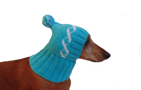 Winter Knitted Hat For Small Doghat For Dogs Pet Clothes Etsy Dog