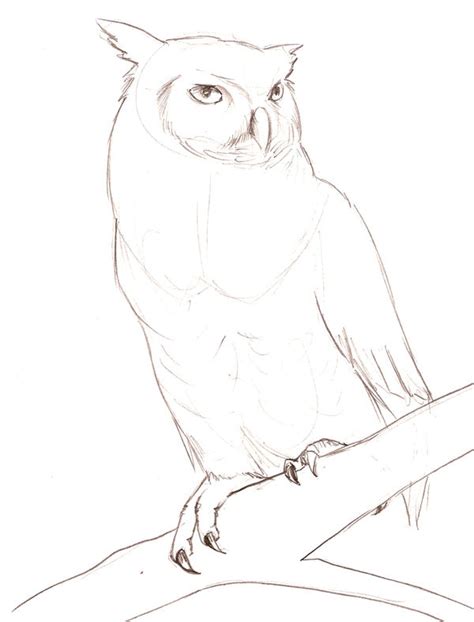 Great Horned Owl Sketch By Theroyalfrog On Deviantart