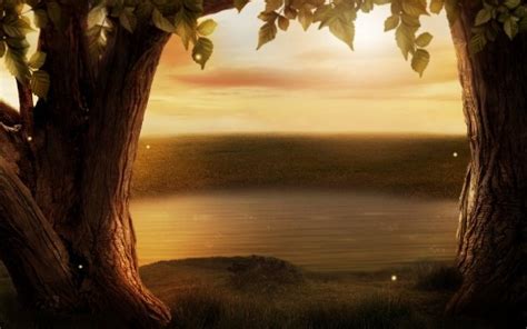 Maybe you would like to learn more about one of these? Boy Standing under Tree at Sunset HD Wallpaper ...