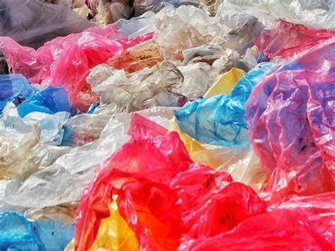 Plastic Eating Enzyme Could Eliminate Billions Of Tons Of Landfill Waste