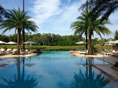 We take a look at the biggest attractions opening over the next year. Pin on Four Seasons Orlando at Walt Disney World