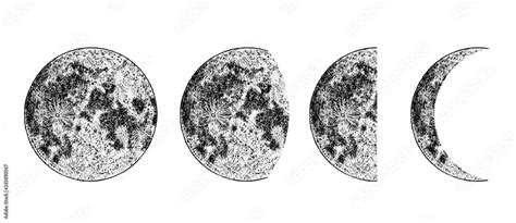Realistic Moon Phases Image On White Background Hand Drawn Cycle Of