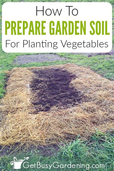 How To Prepare A Garden Bed For Planting Vegetables Artofit