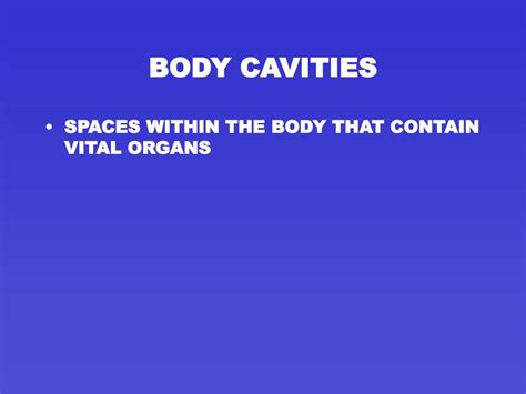 Ppt Body Planes Directions Cavities Powerpoint Presentation Free