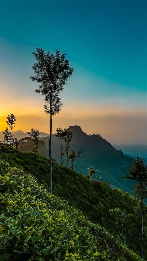 Landscape Badulla Iphone Mobile Mountains Nature Sri Lanka