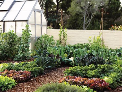 How To Grow The Right Edible Garden For Every Space Sunset Magazine