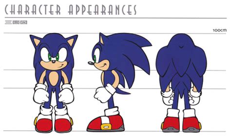 Sonic The Hedgeblog Artwork Of Sonics Model Sheet Design From