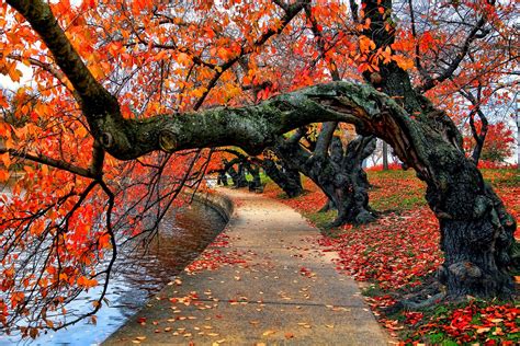 Nature River Bench Water Park Trees Leaves Colorful Autumn