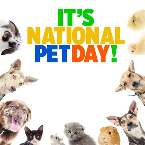 This isn't the case in australia and does depend on the destination. Fox 32 Chicago - HAPPY NATIONAL PET DAY! Celebrate with ...