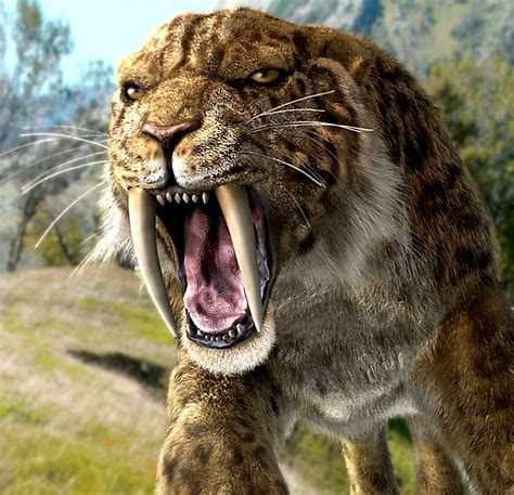 Posts About Saber Toothed Tiger Saber Toothed Cat Smilodon Stone Age