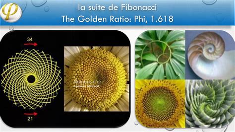 1 618 Nombre D Or Wikipedia - FengShui+ Nombre d'or The Golden Ratio: Phi, 1.618 - YouTube