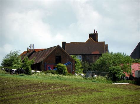 GOC Cheshunt & Lee Valley 094: Holyfield Hall Farm | Essex countryside