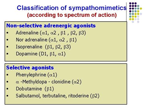 Sympathomimetic Drugs Adrenergic Agonists Prof Hanan Hagar Pharmacology