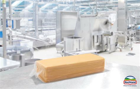 Processed Cheese Sos Hochland Professional