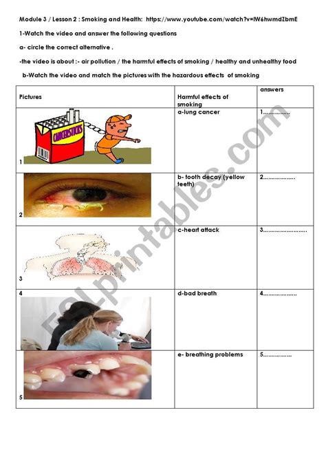 9th Form Lesson 2 Smoking And Health Esl Worksheet By Nourelimen