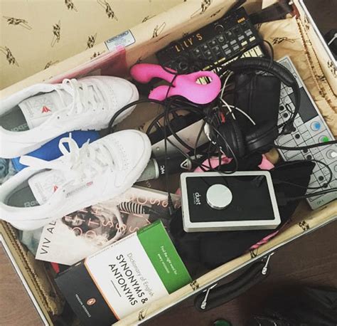 Lily Allen Shares Instagram Pic Of Suitcase Complete With Bright Pink Dildo Daily Star