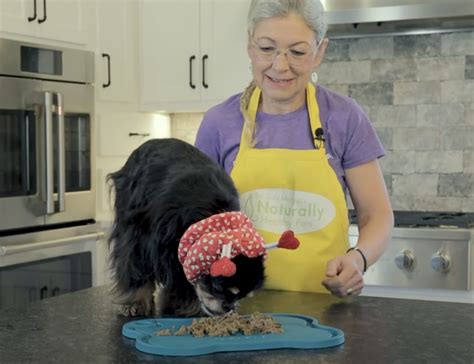 3 Vet Approved Pup Loaf Recipes Your Dog Will Love Rocky Kanaka