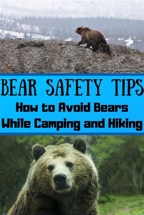 Bear Safety Tips How To Avoid Bears While Hiking And Camping Bear