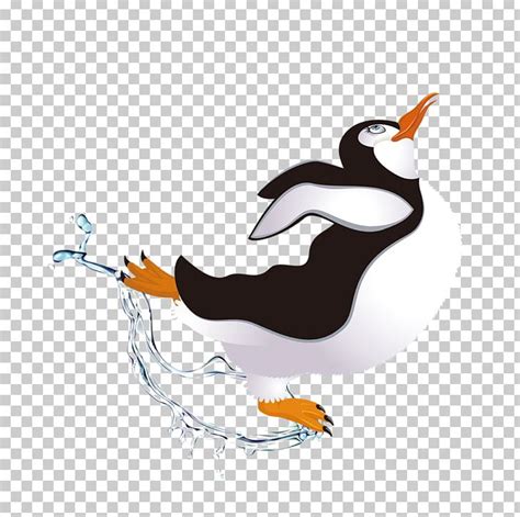 Penguin Dance Png Clipart Animals Bird Cartoon Penguin