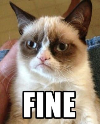 Share the best gifs now >>>. 33. Fine - The 50 Funniest Grumpy Cat Memes | Complex