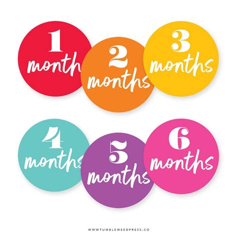 Baby Month Printable Stickers Baby Milestone Stickers Etsy