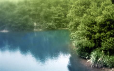 Landscapes Nature Trees Forests Lakes Reflections Blurred