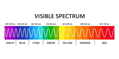 Premium Vector Visible Light Spectrum Optical Light Wavelength