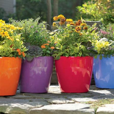 Colorful Outdoor Planters Picture Ideas
