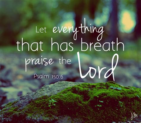 Let Everything That Has Breath Praise The Lord Psalm 1506 Photo