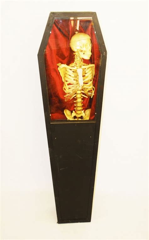 Skeleton in Coffin (1.8m (H) / Full Size) | Theme Prop Hire