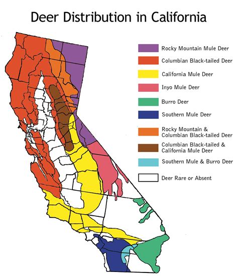 Deer Distribution In California California
