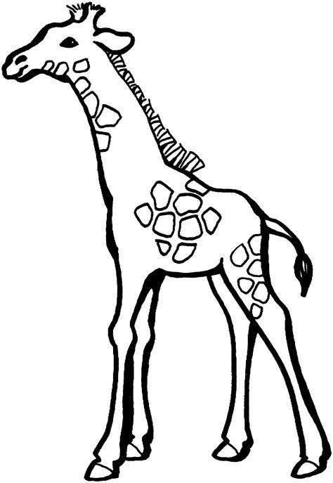 Free Printable Giraffe Coloring Pages For Kids Effy Moom Free Coloring Picture wallpaper give a chance to color on the wall without getting in trouble! Fill the walls of your home or office with stress-relieving [effymoom.blogspot.com]
